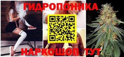 дживик Кимры