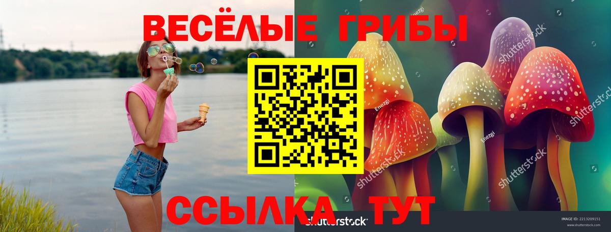 Галлюциногенные грибы мицелий  купить закладку  Карталы  Вход с VPN 